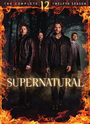 Season 12 DVD and Blu-ray - Super-wiki