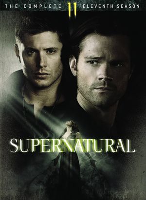 Season 11 DVD and Blu-ray - Super-wiki