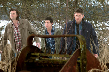 9.19 Alex Annie Alexis Ann - Super-wiki